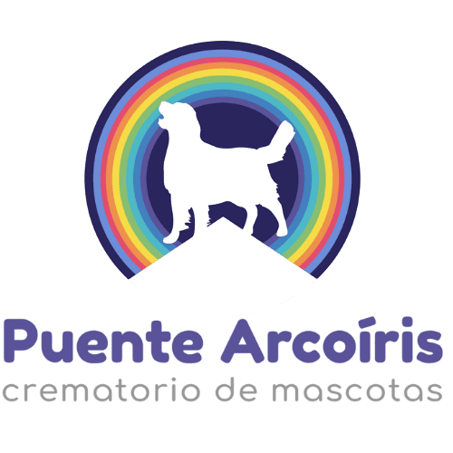 Puente Arcoíris